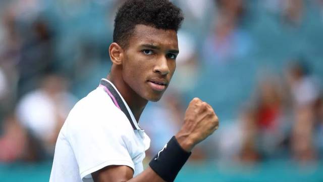 场逆转法兰 场逆转法兰