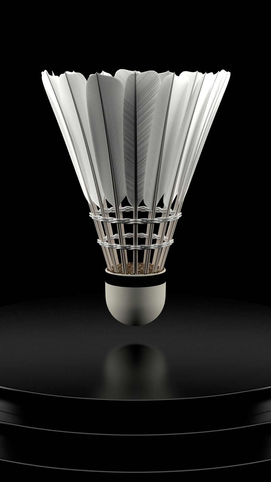 替补阵容进 替补阵容进