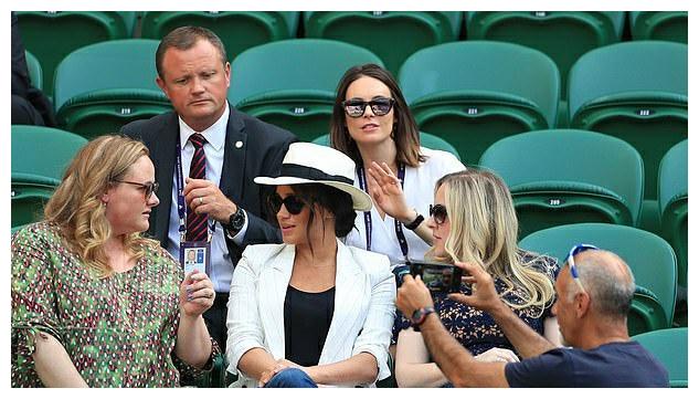 广州蒲公英 广州蒲公英