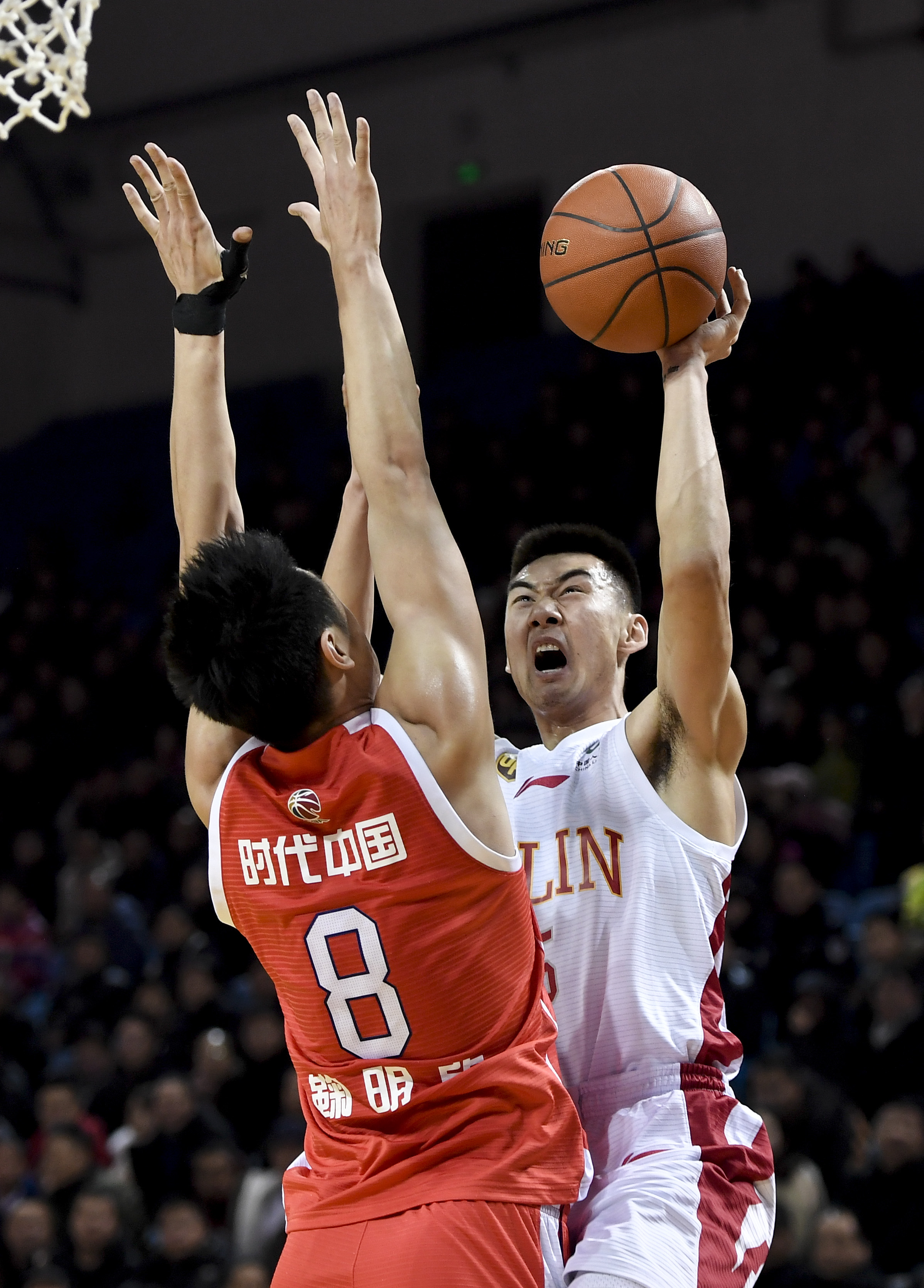 林狼体系 林狼体系