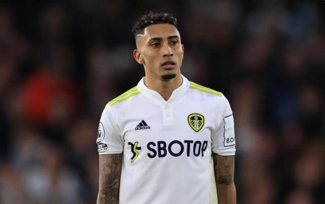 补强摇摆英 补强摇摆英